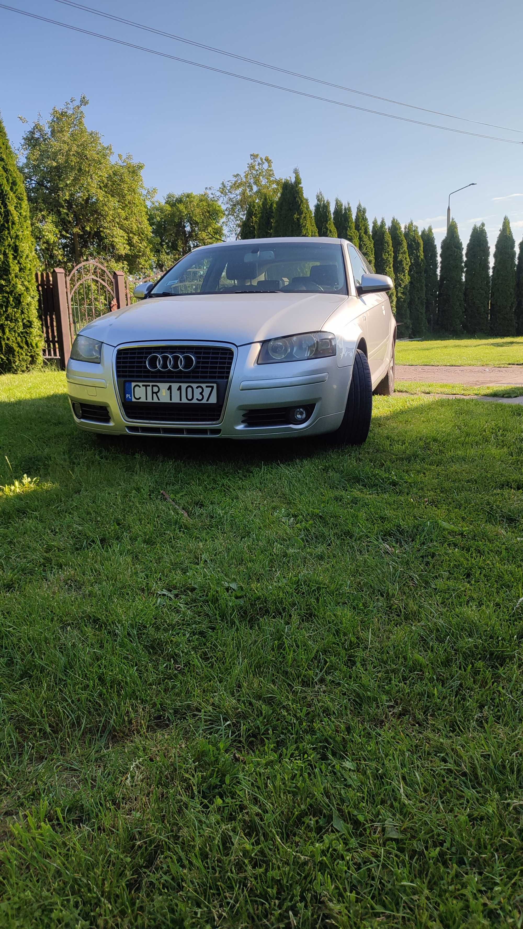 Audi A3 8P 2.0 FSI