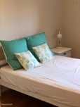 284796 - Friendly single bedroom in close to...