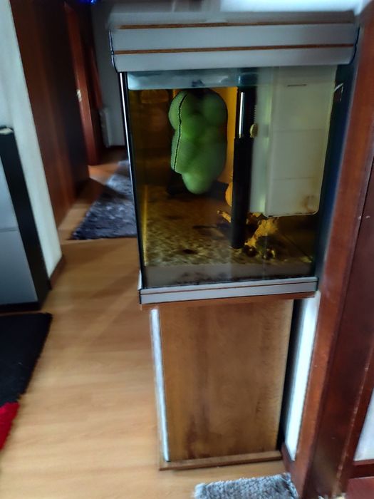 Vendo aquário com movel