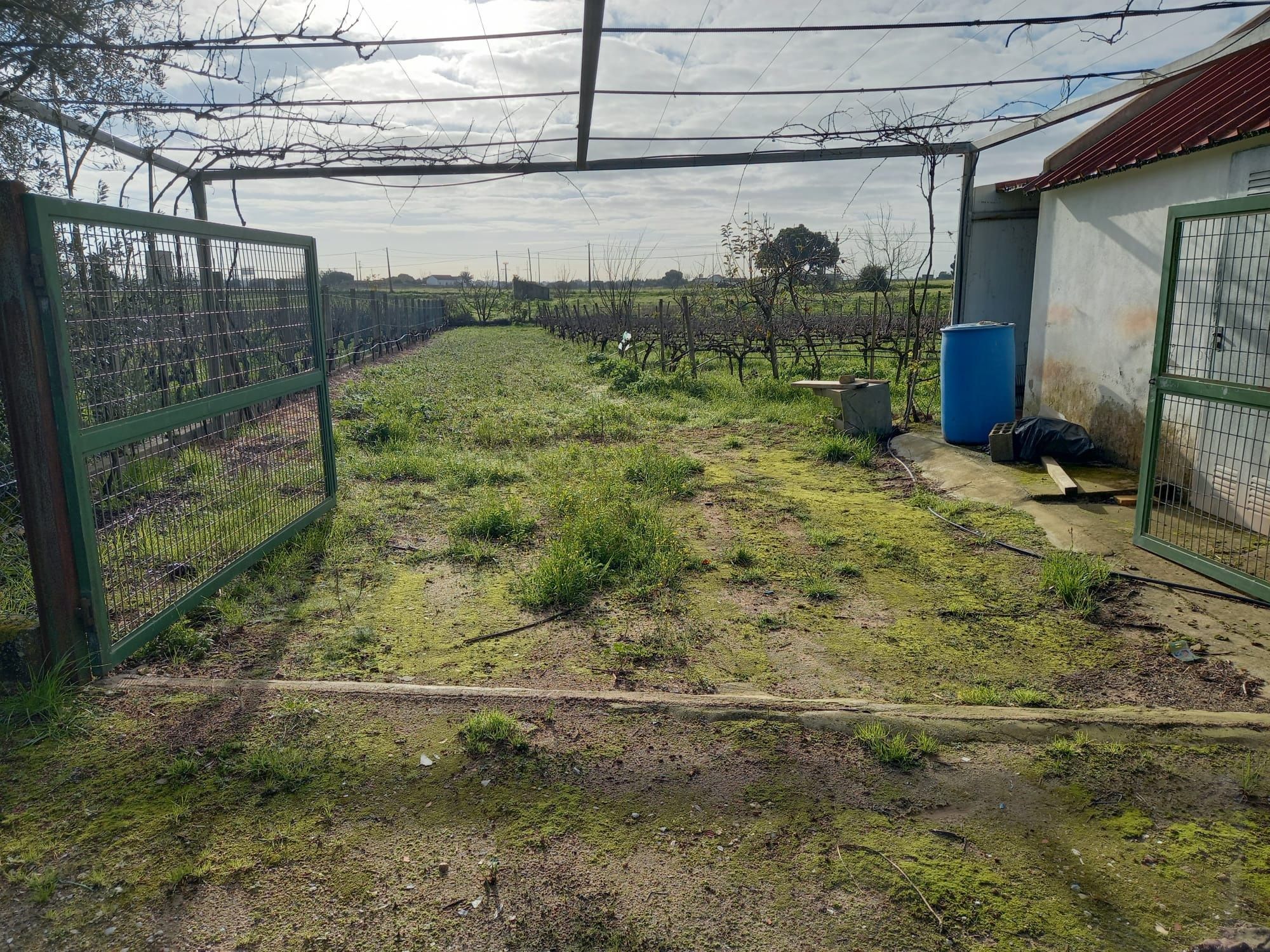 Terreno em Cajados (Palmela)