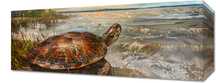 Obraz 50x20cm Nadmorski Żółw