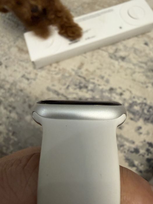 Apple Watch 8 45mm silver