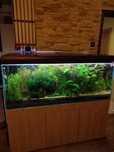 Akwarium z frontem OPTI WHITE 150x45x60