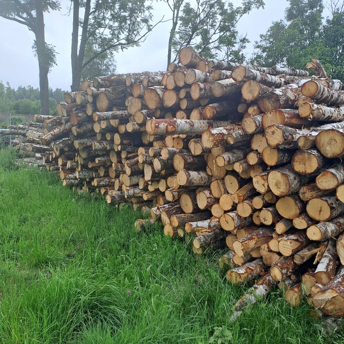 Drewno drzewo opałowe kominkowe