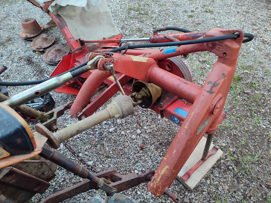 Gadanheira marca Kuhn