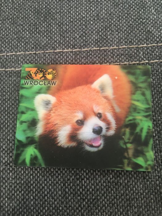 Magnes trójwymiarowy Panda Ruda Mała ZOO Wrocław