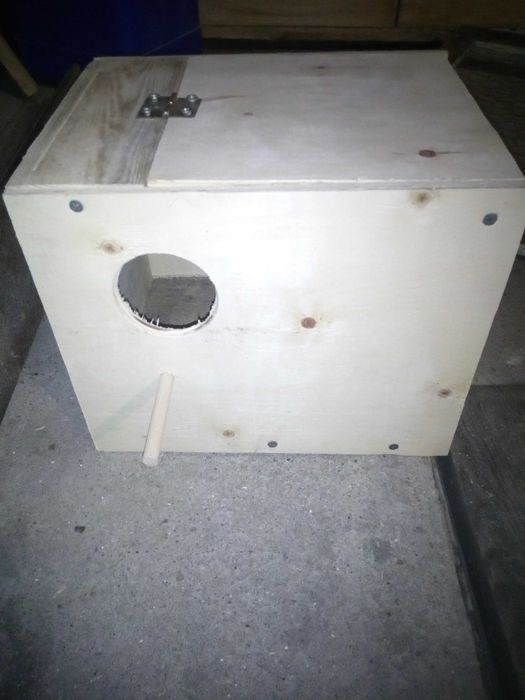 Budka lęgowa dla papug