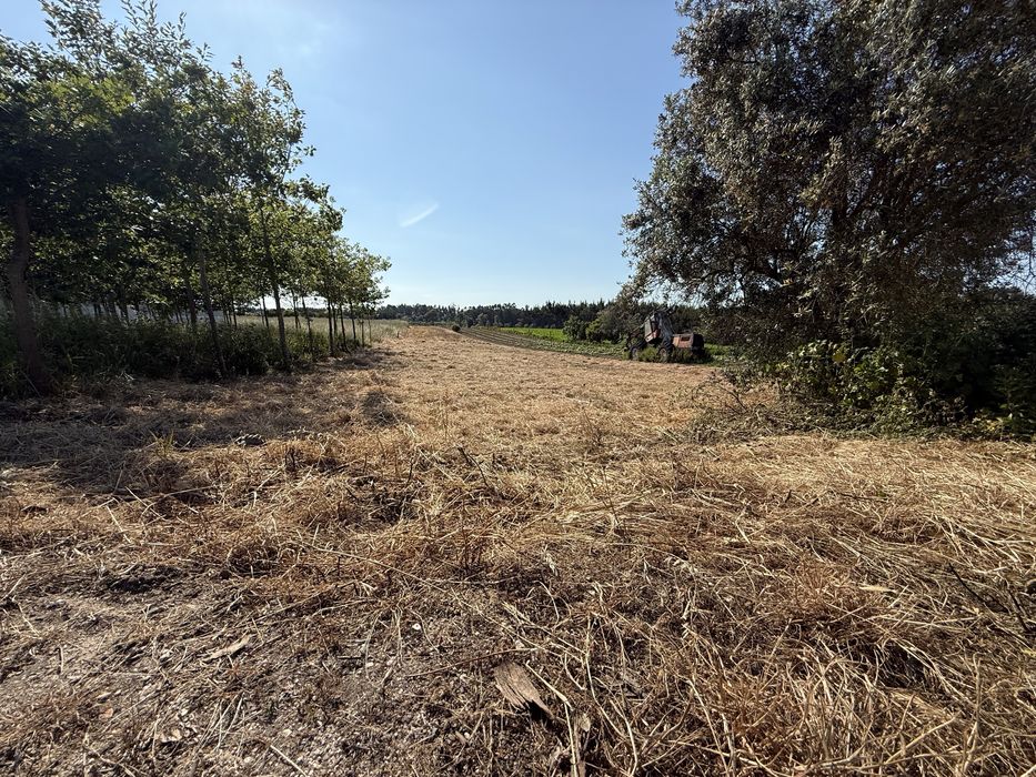 Terreno para construçao