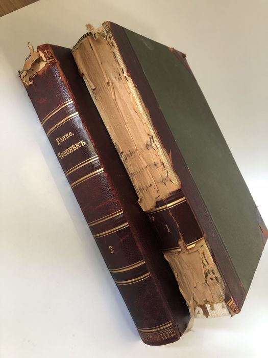 Антикварные книги И.Ранке Человек 1 и 2 том
