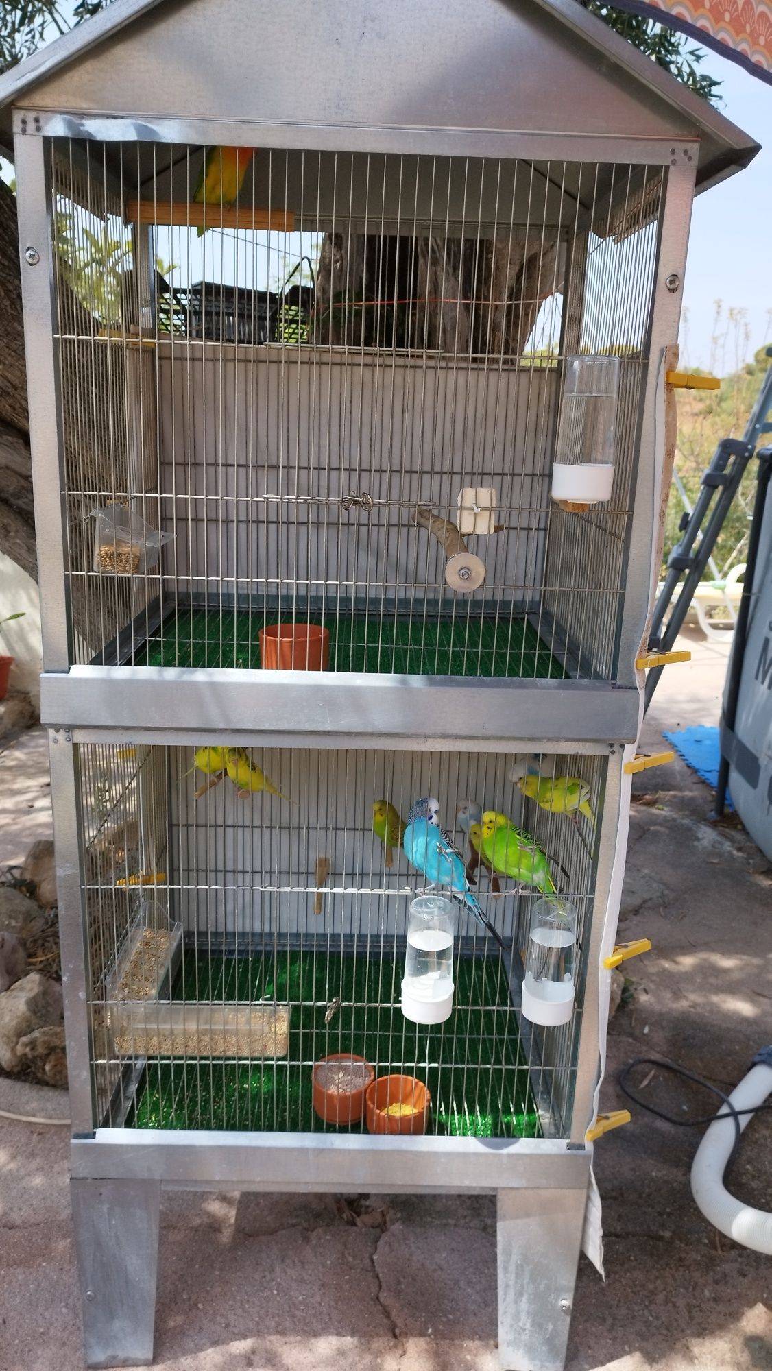 Ler anúncio, o lote é vendido completo. Pássaros Gaiolas etc
*Transpor