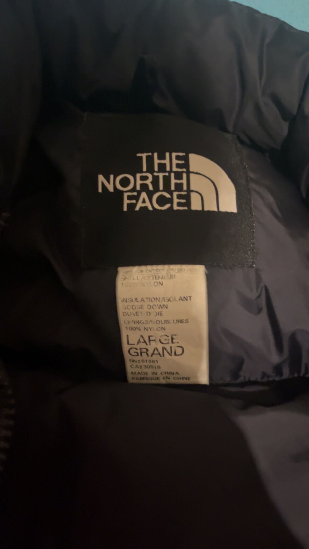 Casaco the North face