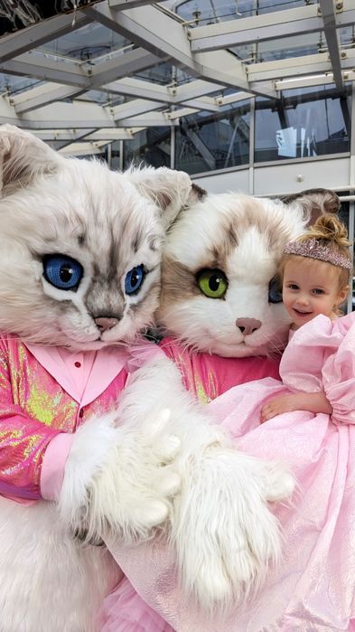 Выписка из роддома аниматоры Встреча из роддома Для роддома