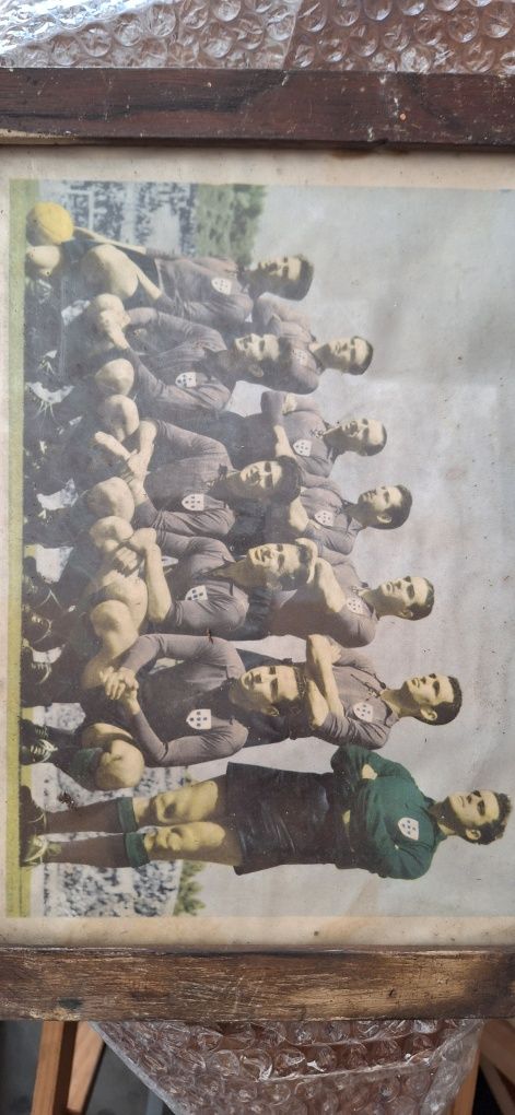 Quadros coleção F.C.P