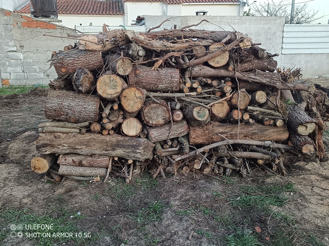 Lenha de pinheiro cerca de 2TON