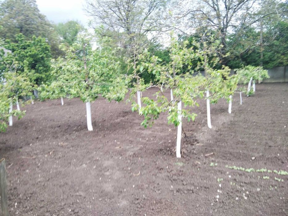 Приватний будинок