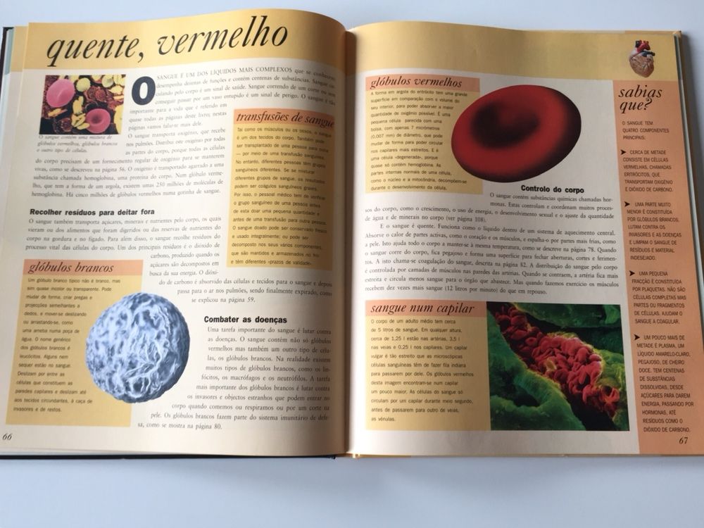 Livro O Corpo Humano