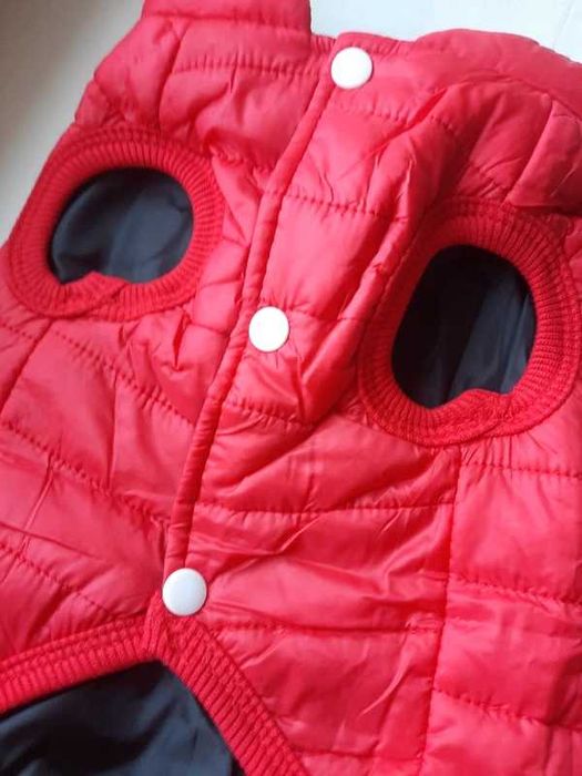 Kurteczka dla psiaka