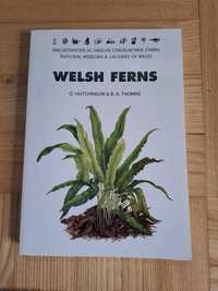Książka Welsh Ferns