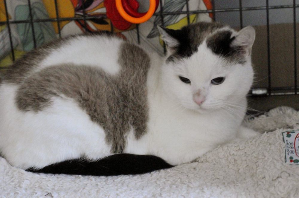 Чарівна Сніжана з блакитними очима в пошуках родини!уу