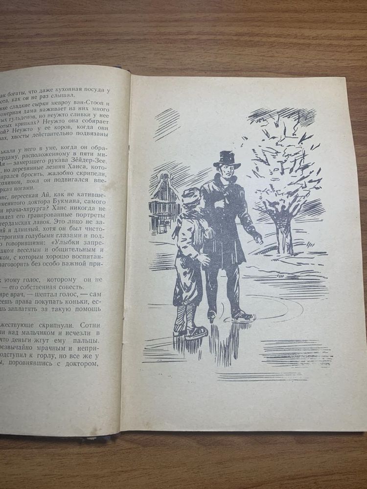 Серебрянные коньки книга