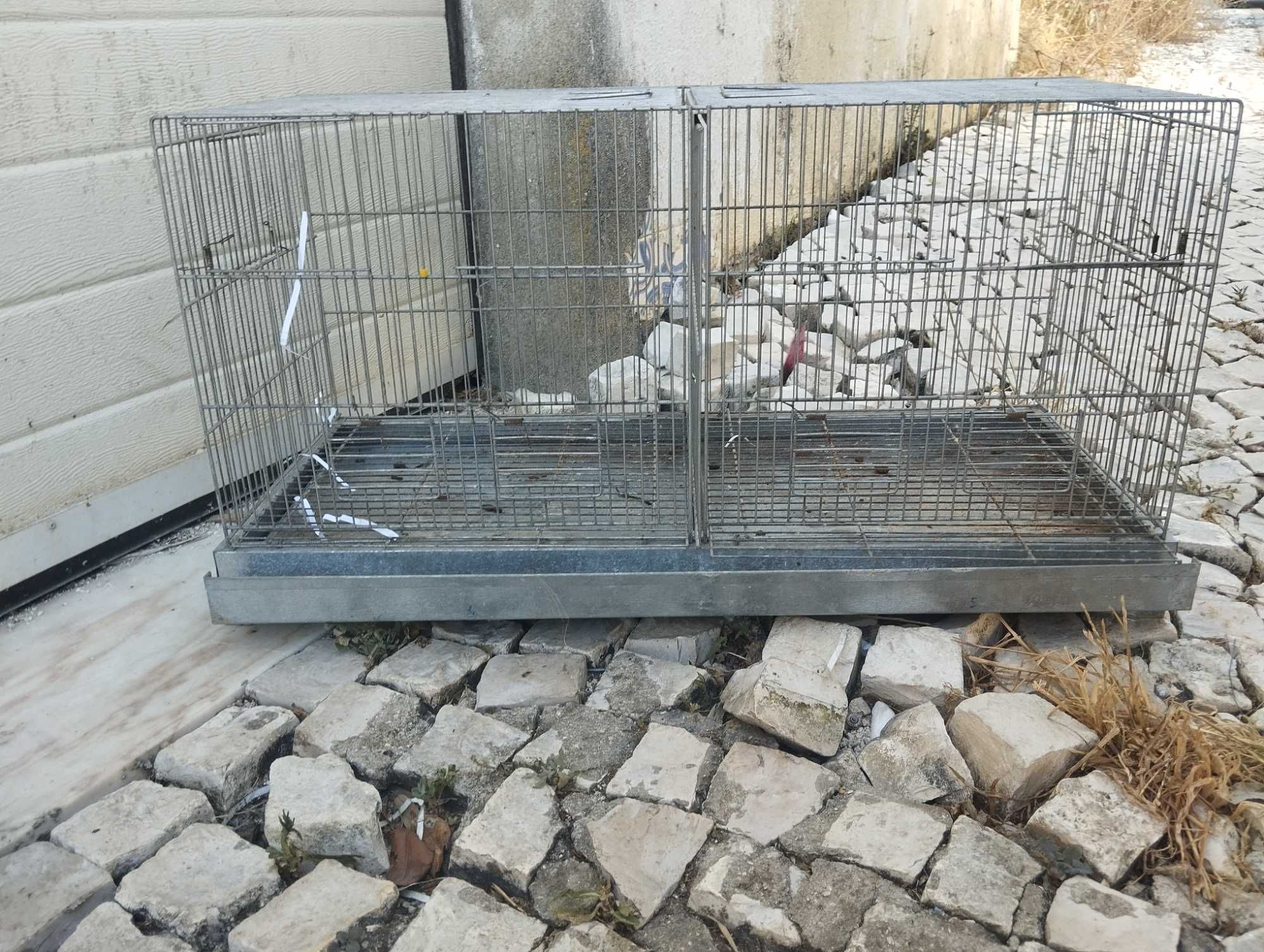 Gaiola para passaros