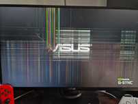 Monitor ASUS TUF VG259QM (uszkodzony)