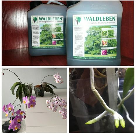 Waldleben удобрения для орхидей и обычных растений