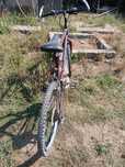 Bicicleta de adulto