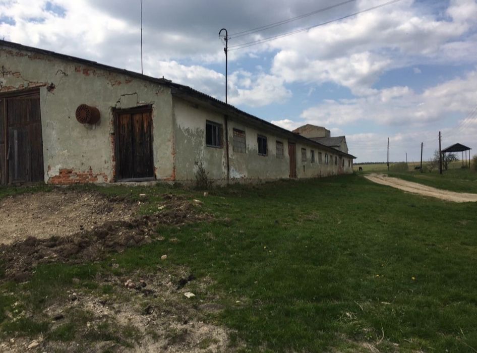 Продам або здам в оренду ферму