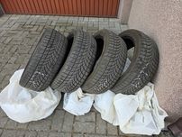 Opony zimowe Dayton DW510 225/45/17