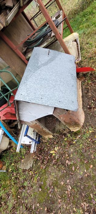 Buda dla psa - za darmo