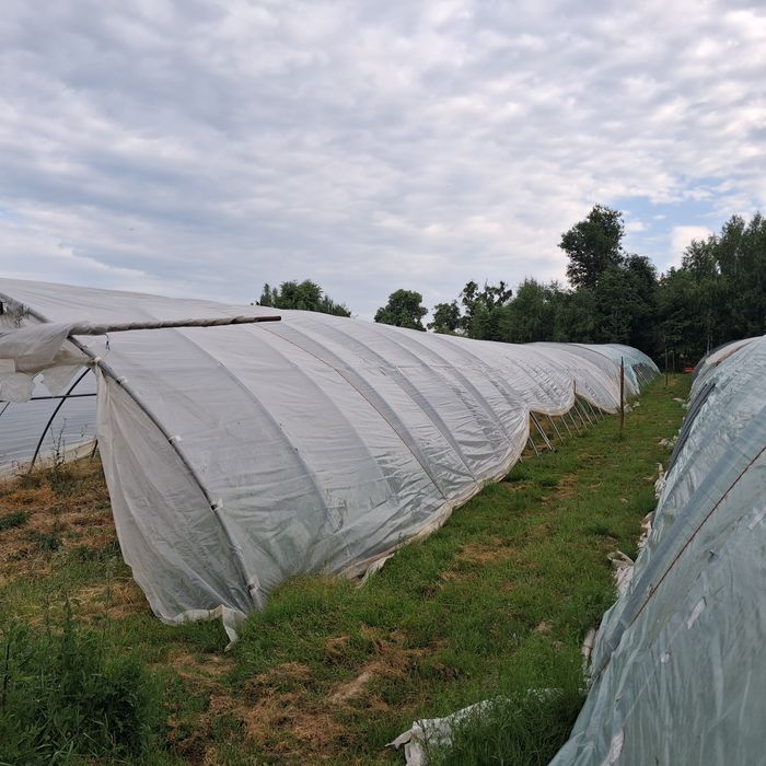 Tunel ocynk konstrukcja z folią