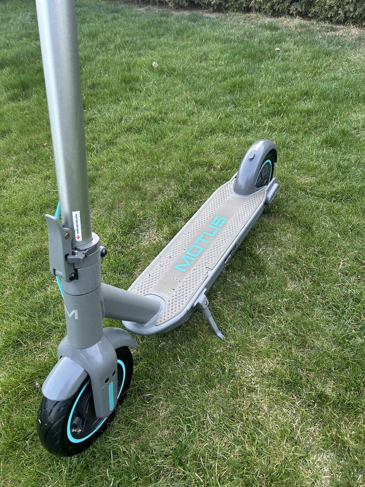 Hulajnoga Motus Scooty 10 2022