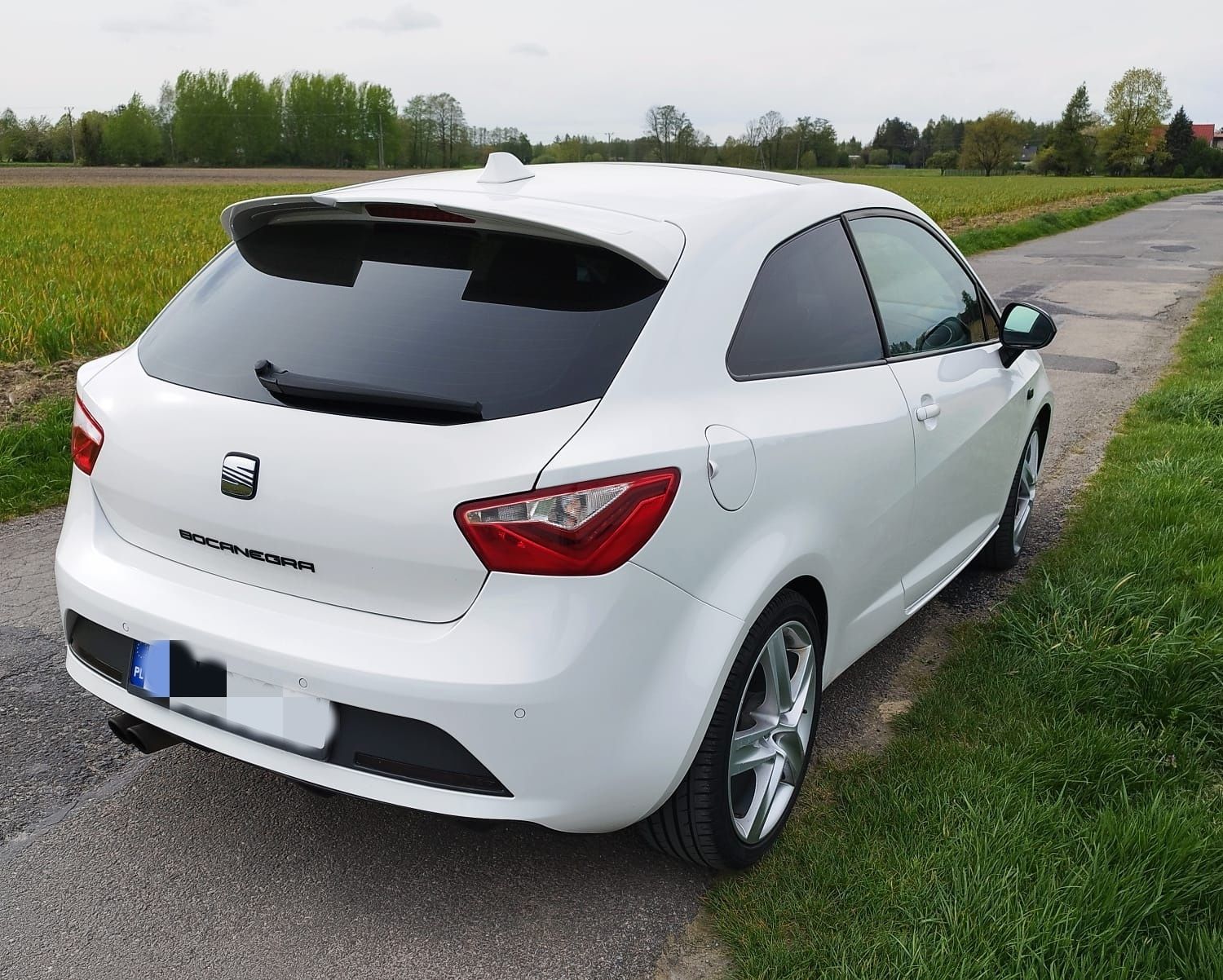 Seat Ibiza Bocanegra