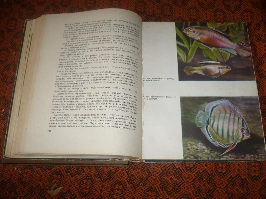 Книга Аквариумные рыбки, растения аквариум