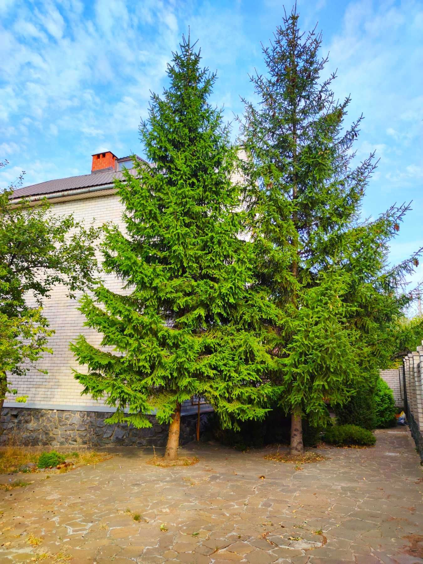 Продам дом в п. Коротич в 10 км. от метро Холодная Гора