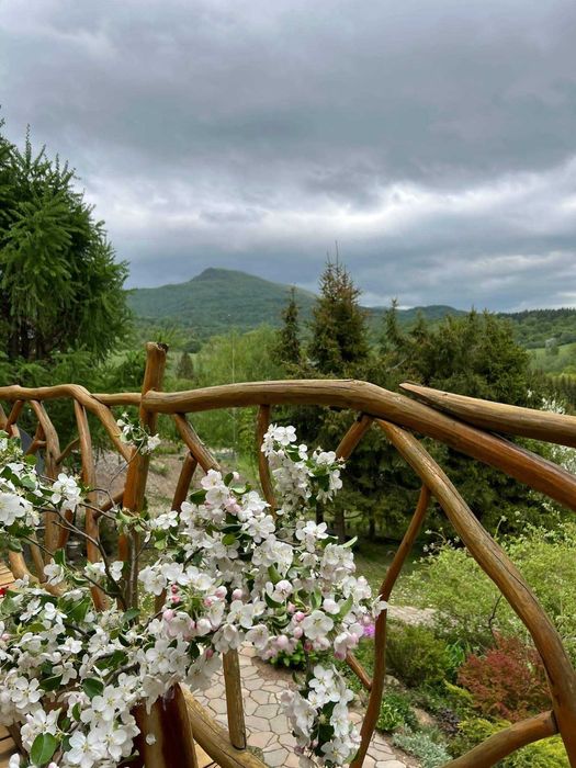 Malinowy Chruśniak z widokiem Wetlina dom do wynajęcia