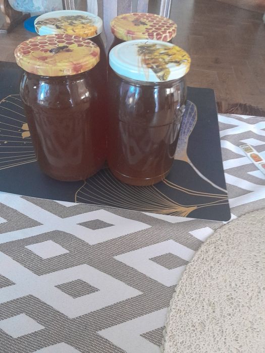 Sprzedam miód  spadzowy