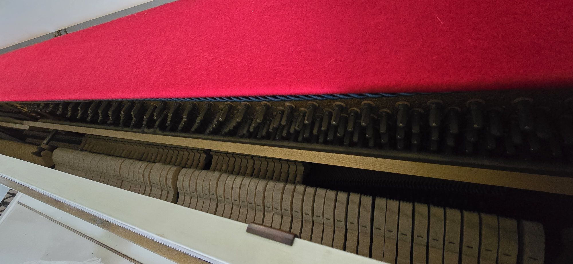 Pianino Calisia Chippendale M-105