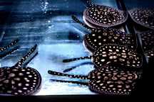Potamotrygon Leopoldi Black Diamont