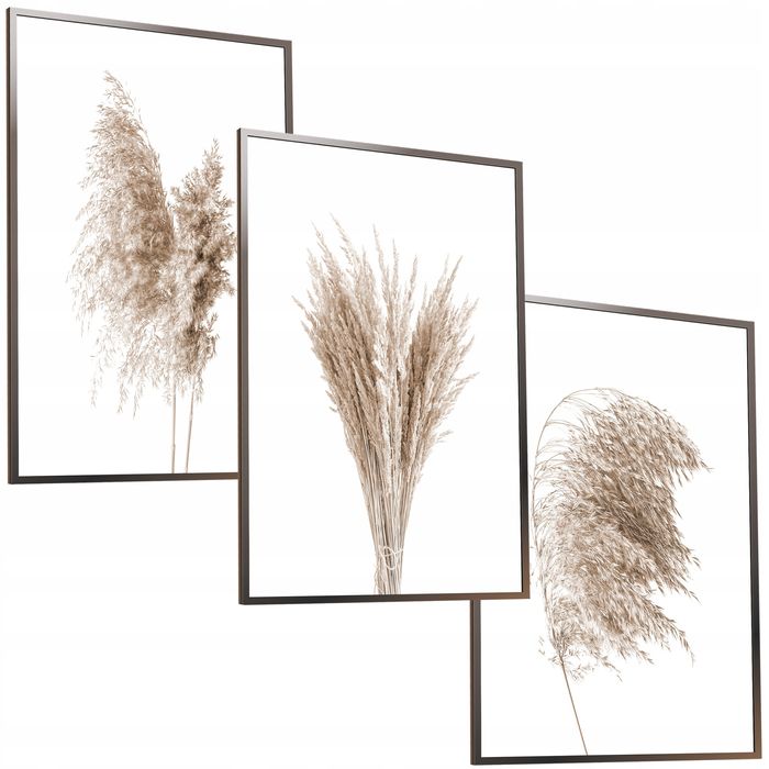 30x40 obrazy w ramie plakaty ramka  OBRAZ BOHO SUCHA TRAWA PAMPAS