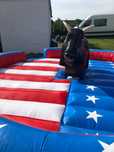 byk rodeo piana party  wideo fotobudka 360 zamki dmuchane
