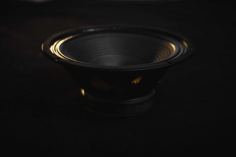 Głośnik 12" HESU Demon 8 ohm nowy