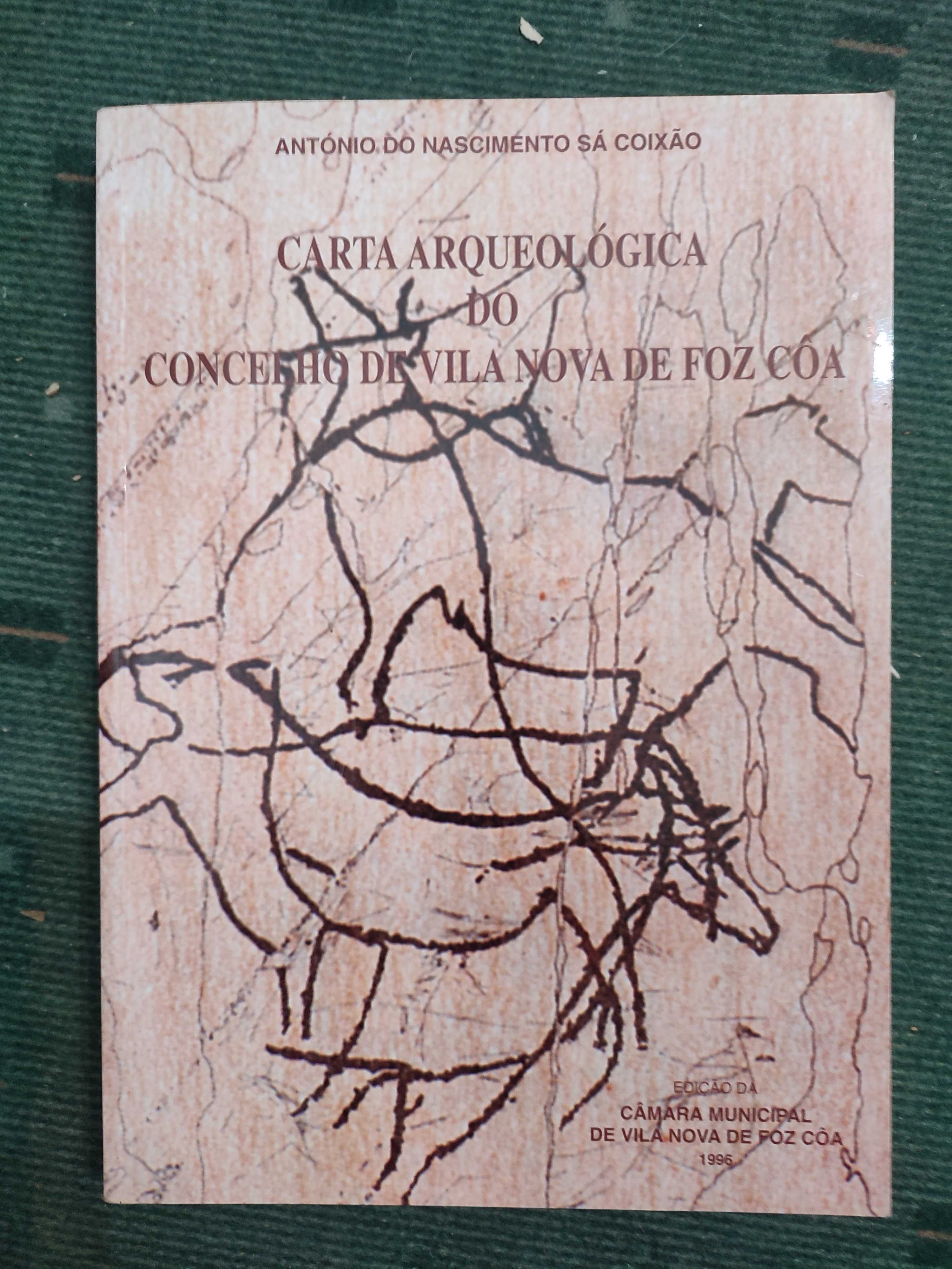 Carta Arqueológica do Concelho de Vila Nova de Foz Côa