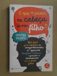 O que se Passa na Cabeça do Meu Filho? de Cristina Valente