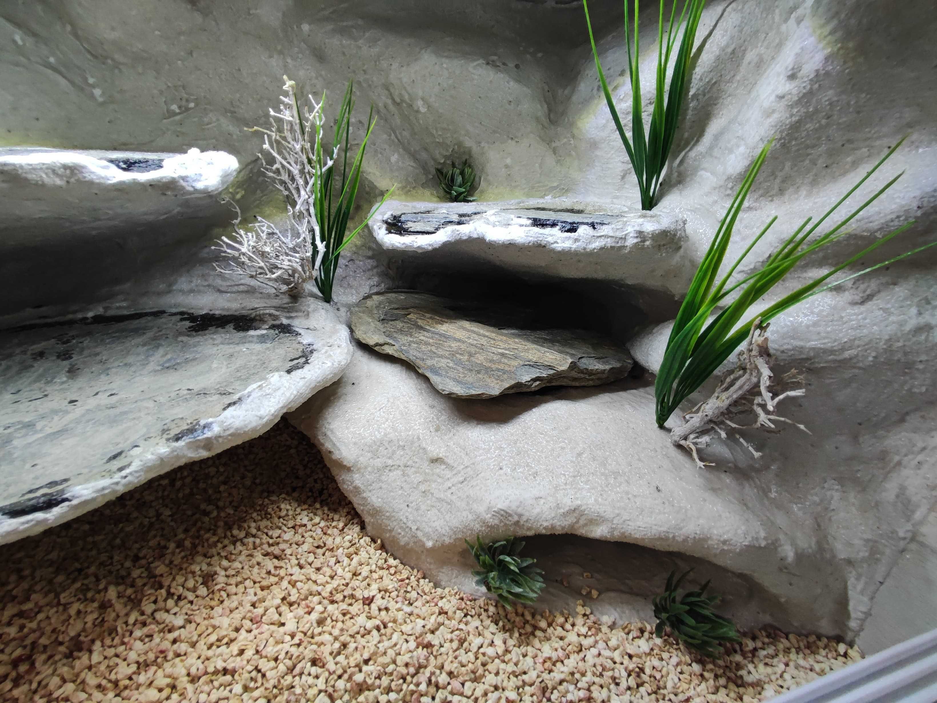 Terrarium pustynne nr752 60/40/40 dla gekona lamparciego DOSTĘPNE