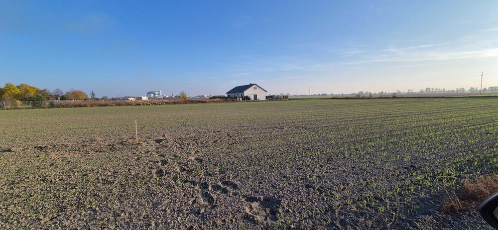 Działka budowlana Łęczyce [Opalenica]