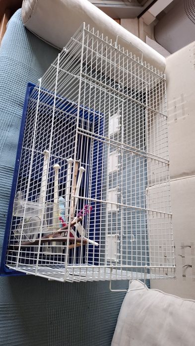 Gaiola pássaros em metal