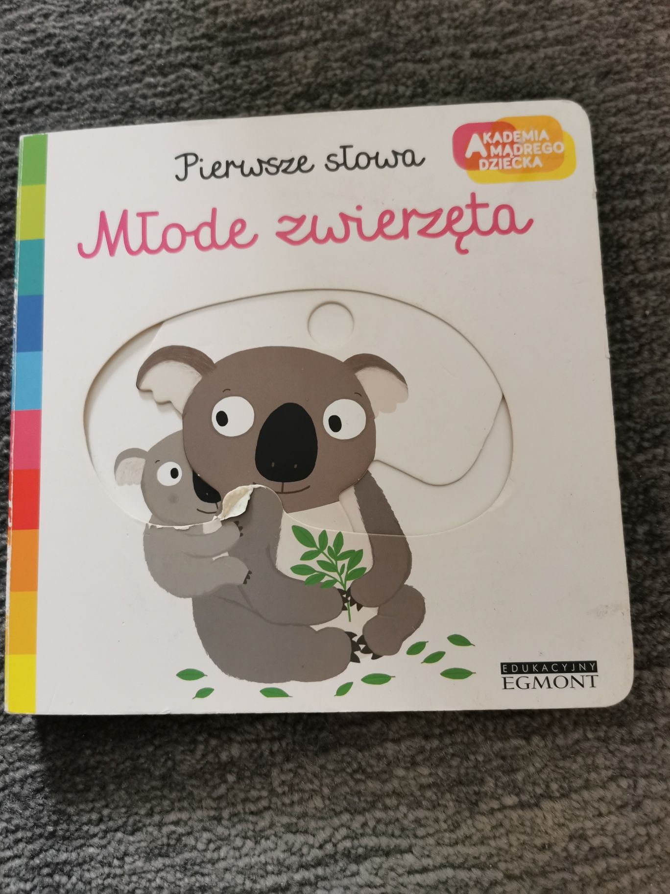 Młode zwierzęta - pierwsze słowa - Akademia mądrego dziecka