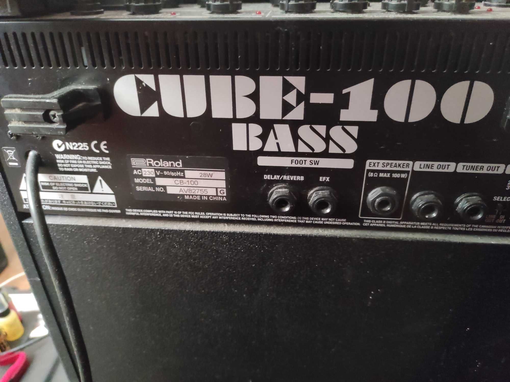 Roland Cube 100 Bass